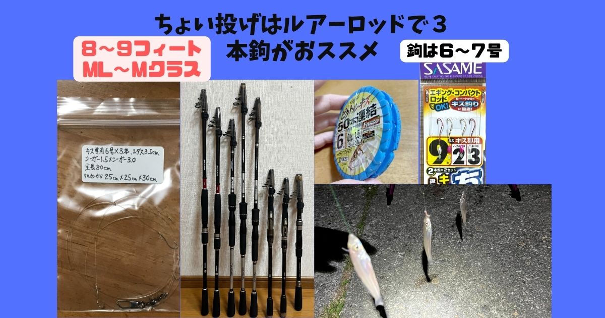 海釣り初心者のちょい投げはルアーロッドで３本鉤がおススメです。 | furahamariの雑記帳